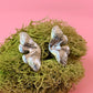 Silver Butterfly Wings Studs