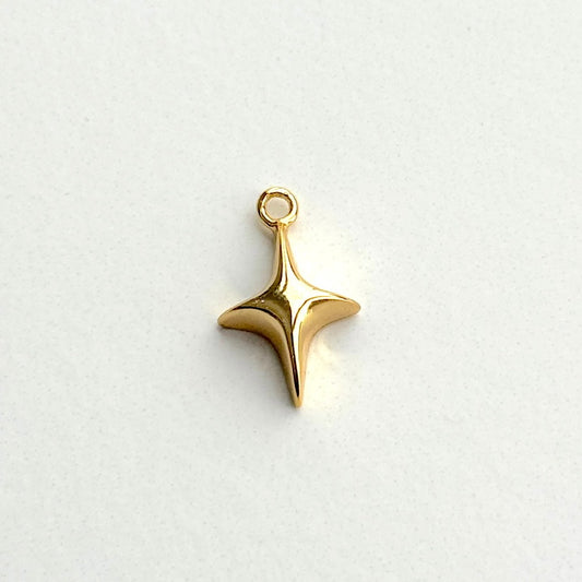 Twinkle Charm (Gold + SIlver)