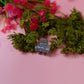 Mini Acrylic Hair Clip