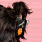 Witches Brew Hair Claw