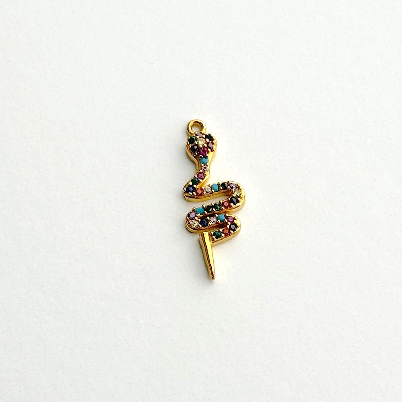 Colorful Snake Charm