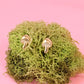 Magic Mushie Studs