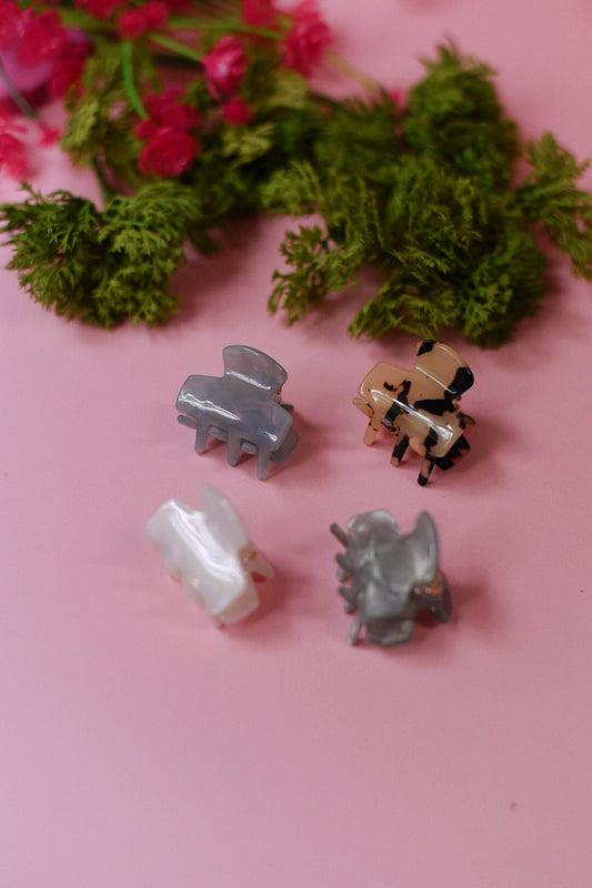 Mini Acrylic Hair Clip