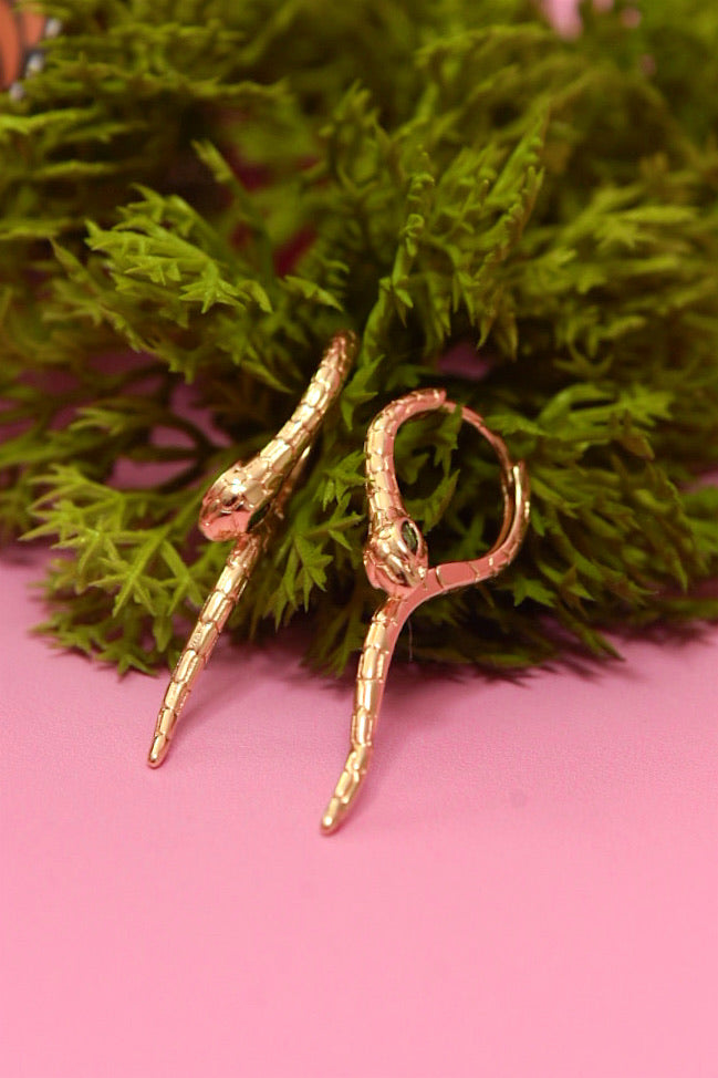 Reptilian Hoops
