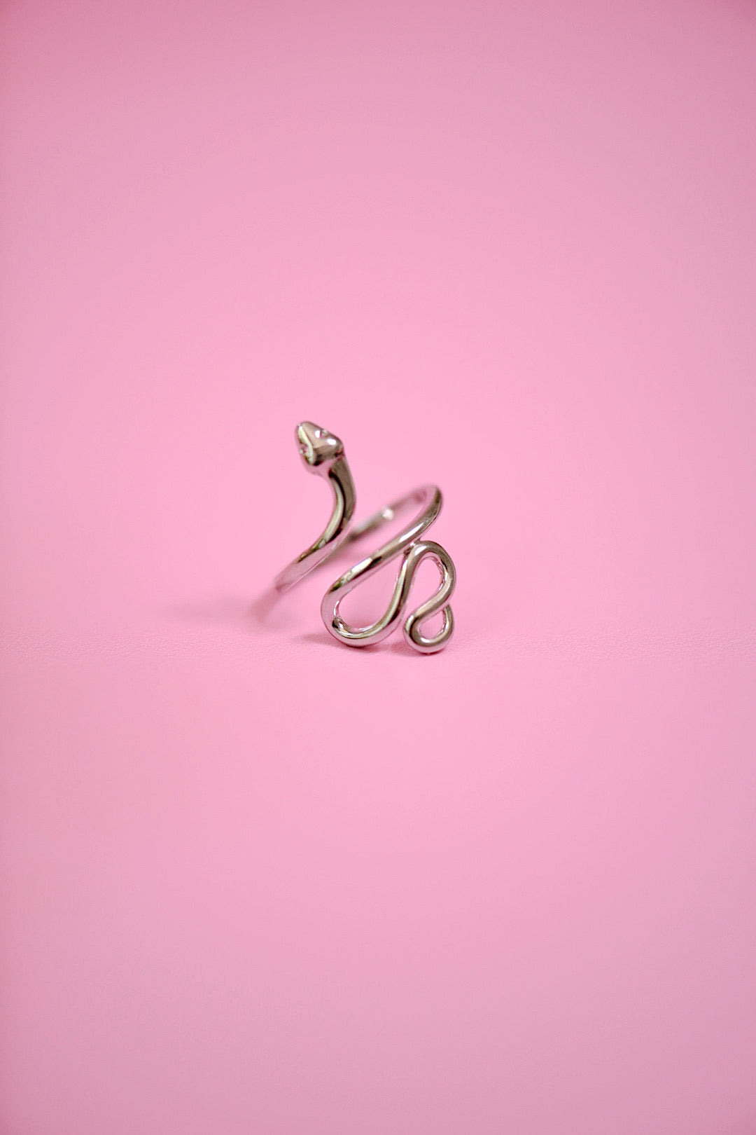 Snake Ring (Gold + Silver)