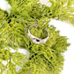 Abilene Silver Ring