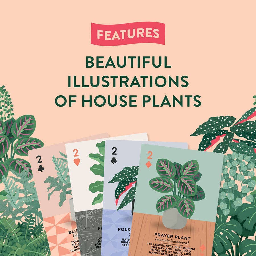 Houseplants Playing Cards