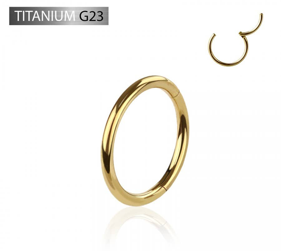 Simple Gold Hinged Hoop Nose Ring