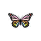 Rainbow Butterfly Sticker