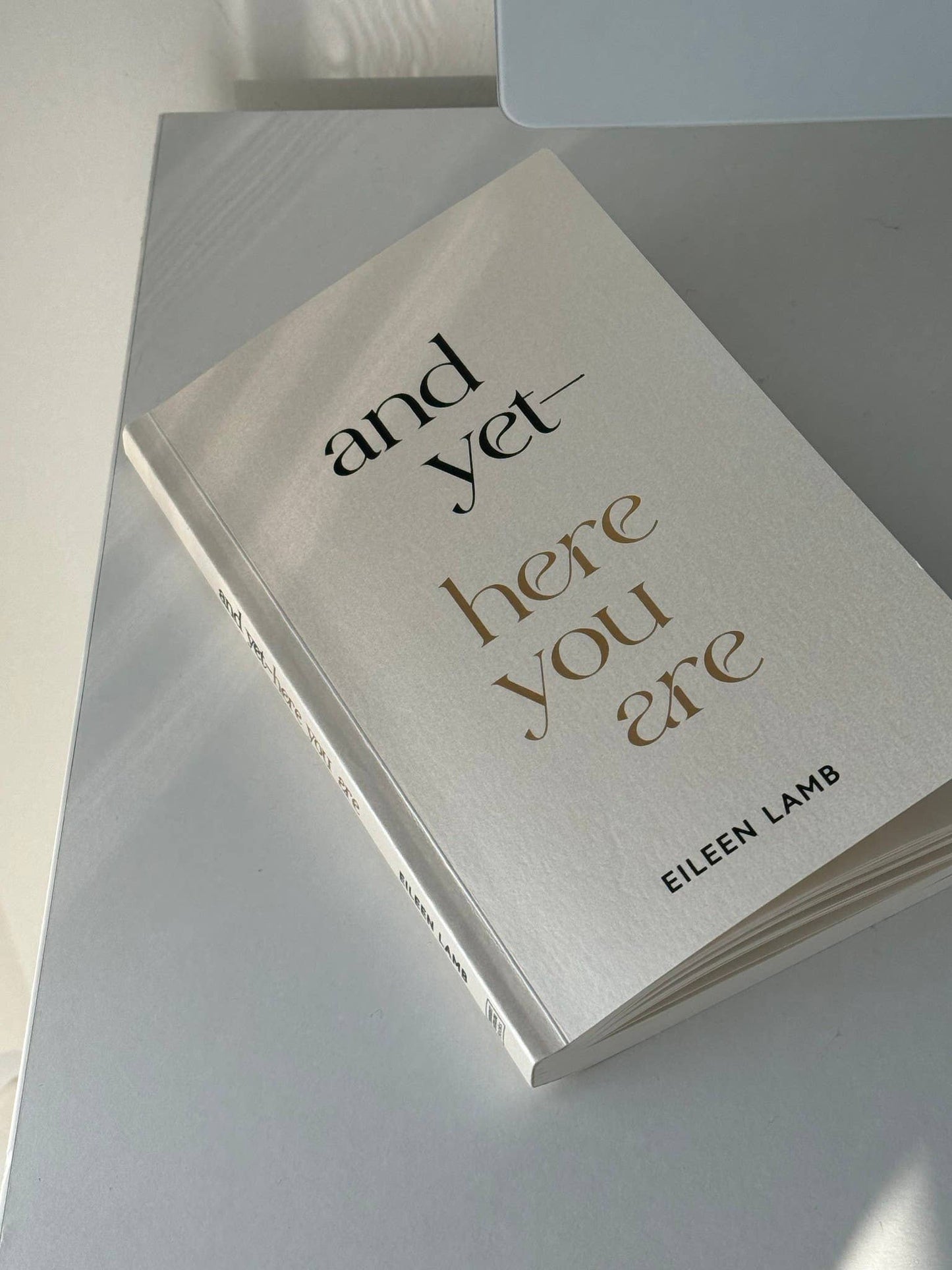 And Yet – Here You Are Book