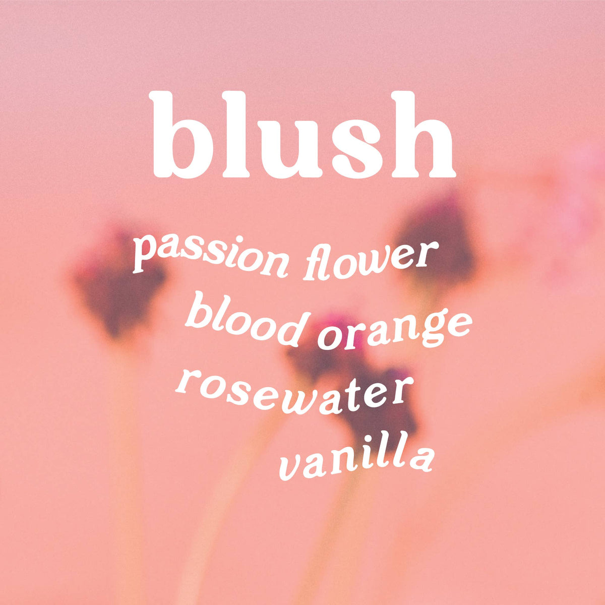 Blush 9 oz. Candle