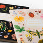 Pair of 2 Curio Pocket Notebooks