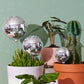 Disco BB - Disco Ball Decorative Plant Stakes