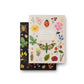 Pair of 2 Curio Pocket Notebooks
