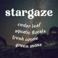 Stargaze 4 oz. Reed Diffuser