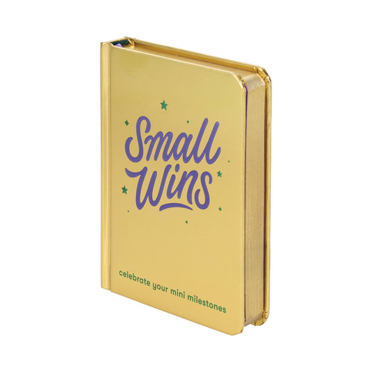Small Wins Mini Journal