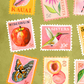 Stamp Collection Art Print