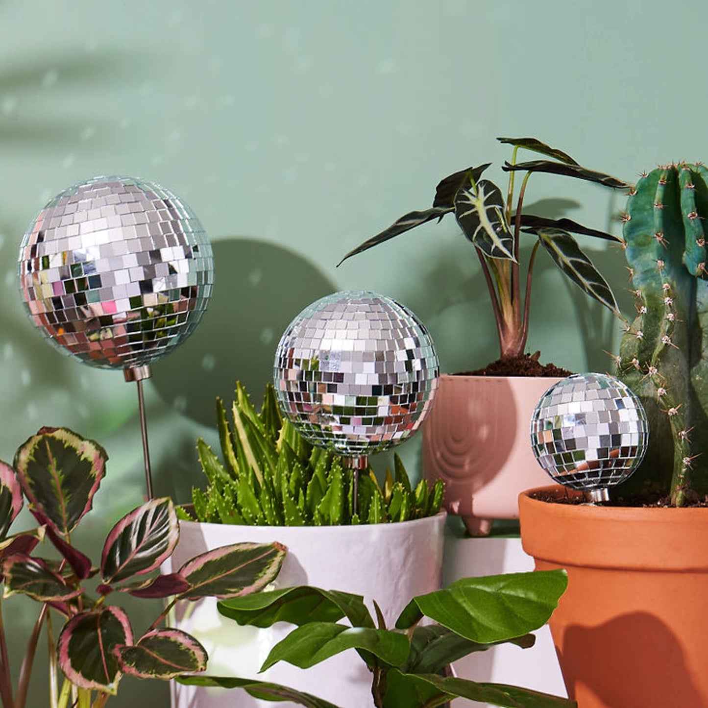 Disco Queen - 4.5" Disco Decorative Plant Stake