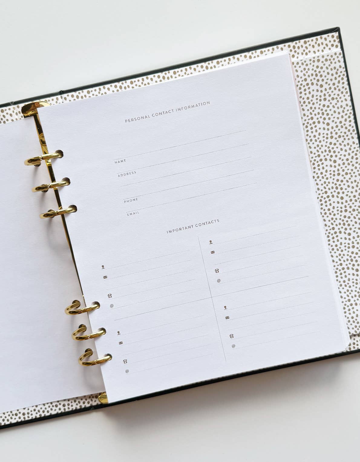 Great Year Perpetual Planner