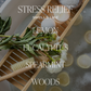 Stress Relief Amber Reed Diffuser